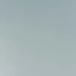 단색의 배경