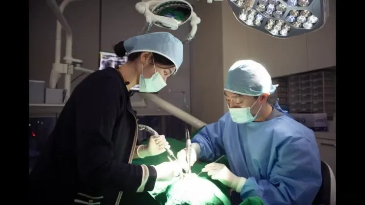 수성구치과 임플란트 오래 쓰는 두 기준